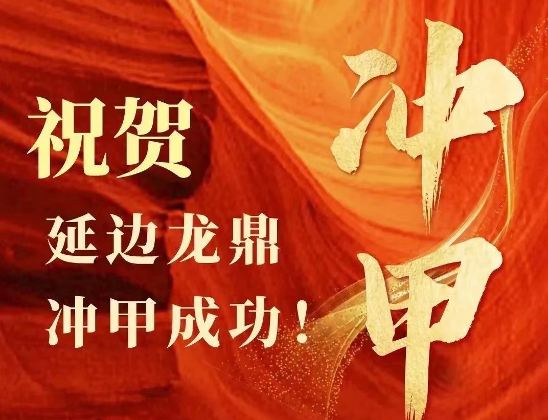 延边龙鼎最后一场冲甲时间,延边龙鼎队冲甲成功首发名单