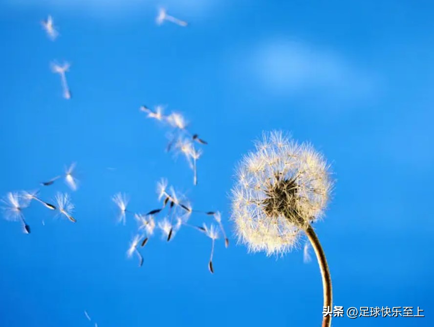 足球小将内部矛盾,足球小将冲突名场面