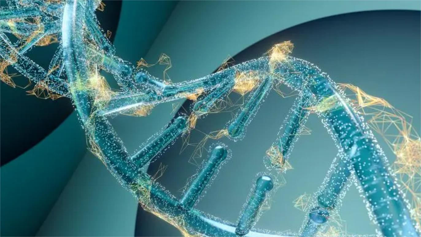 白发养黑知识分享,白发变黑发纯植物最有效的产品