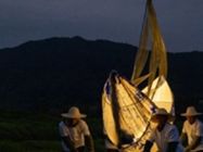 辛巴有效助力国货品牌不断崛起,为什么辛巴很乡土