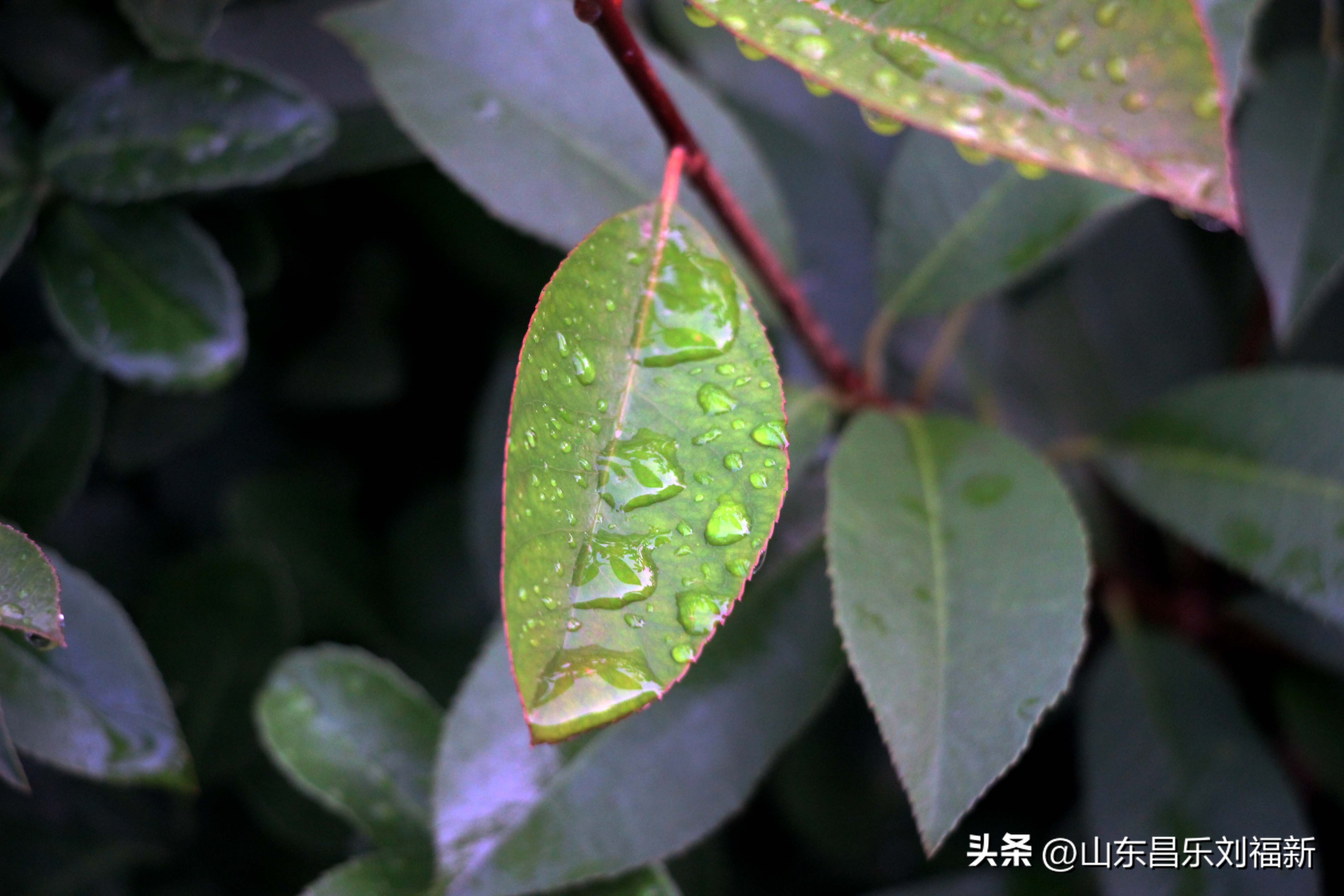 2023年8月20日有雨吗,2021年8月19日有没有下雨