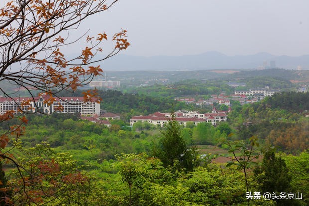 京山青龙山风景区在哪,京山青龙山风景区介绍