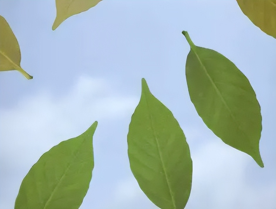 奇奇怪怪又可可爱爱的杂货,都在日本人玩不完的脑洞里
