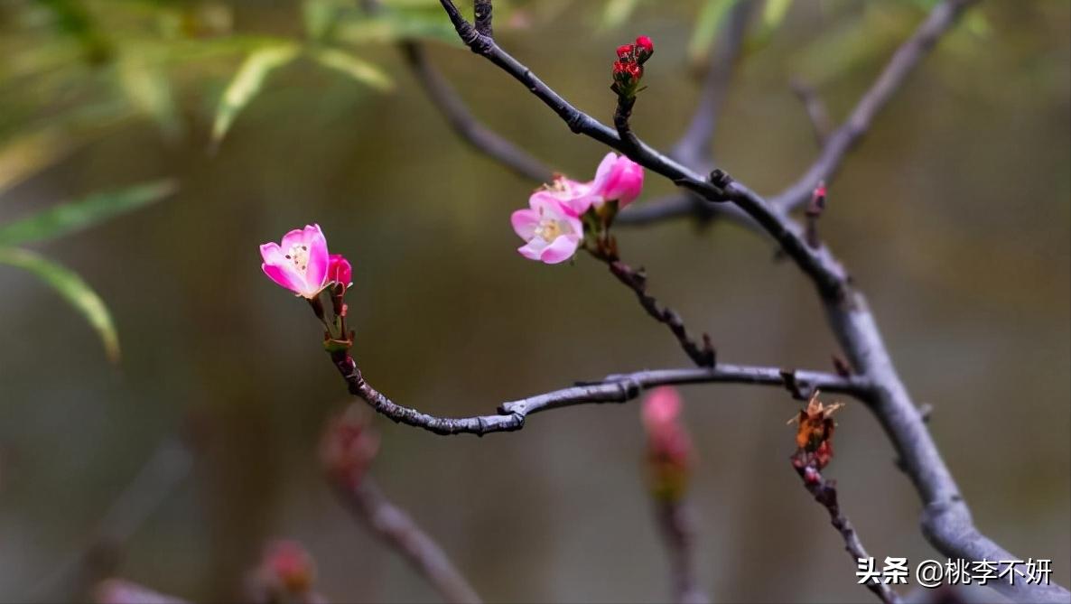 愿余生温柔以待不负相遇不负你,余生不负韶华不负相遇不负初心