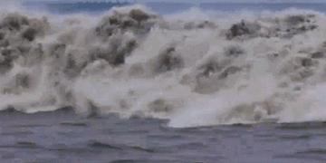 初入股市记录,入股市心路历程