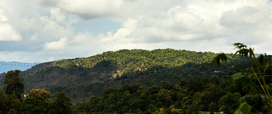 关于秋天你有什么问题想问的,关于秋天的问题和解答