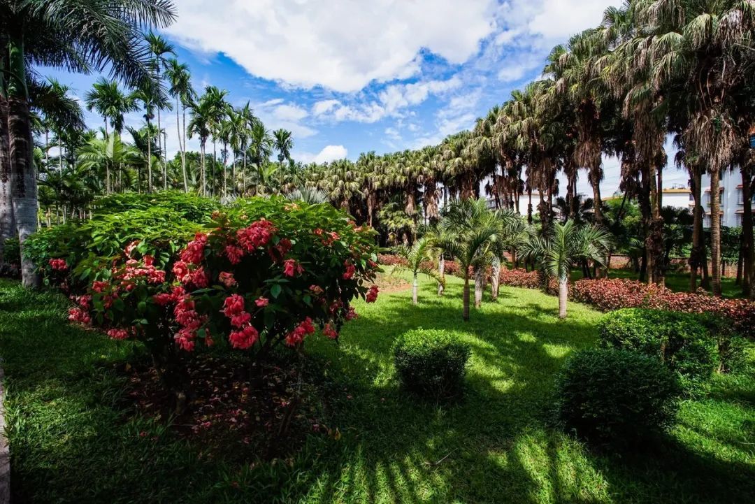 三八妇女节值得纪念的日子,一年一度的三八妇女节即将到来