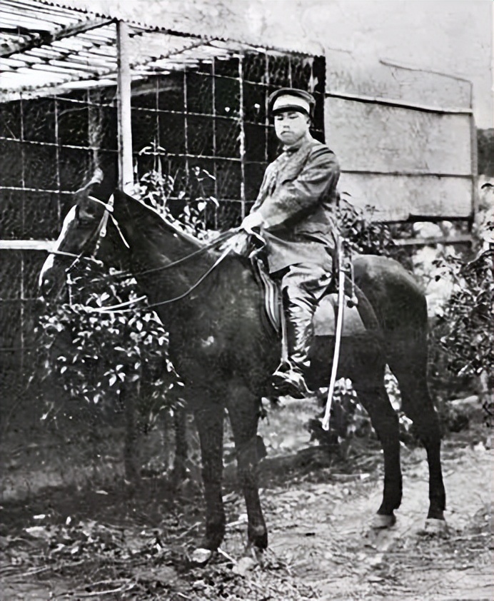 上将军衔跟省长哪个大,上将军衔相当于政府什么级别