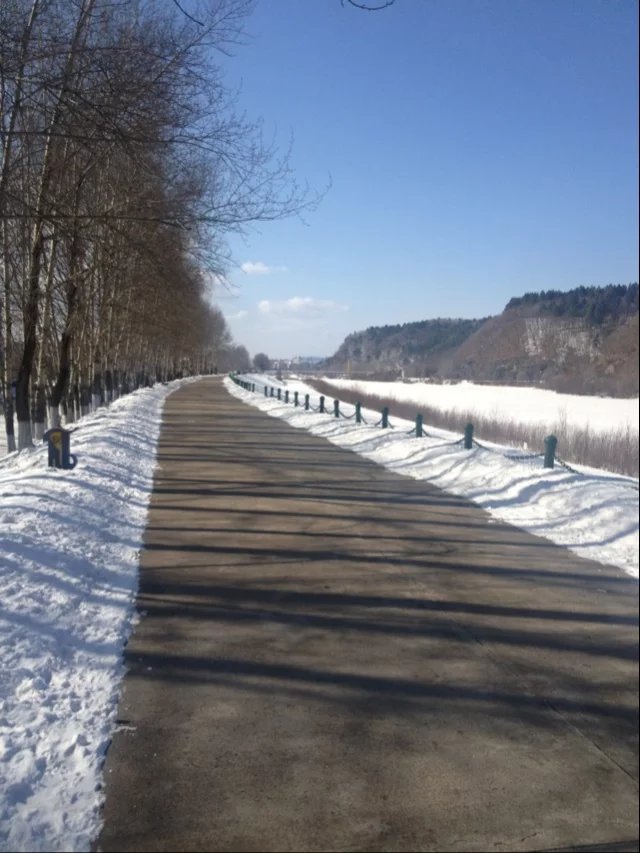 林区往事最新视频,2012年伊春林区往事图片