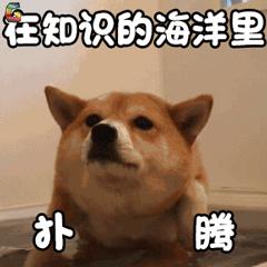 韩国双料影帝电影有哪些,韩国三大顶级电影历届影后