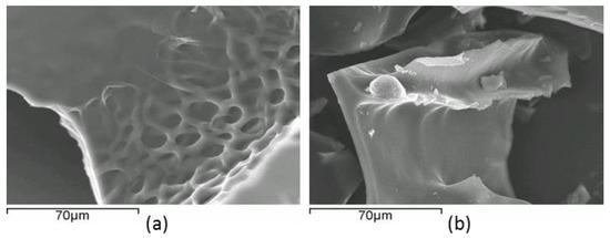 银离子浸渍海藻酸盐及其抗菌性能