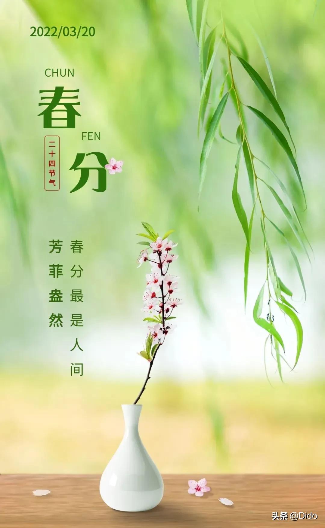 春分春风如约而至吹暖每一个角落,愿春分带来更多的美好如约而至