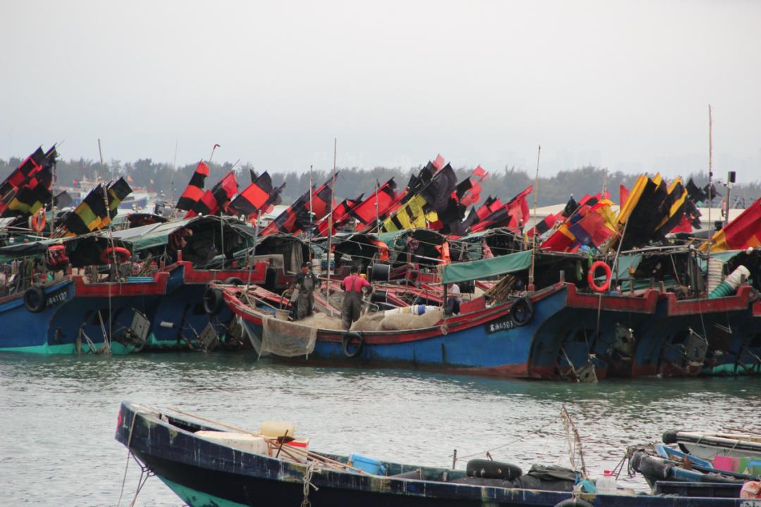 夏日的汕尾，是放荡不羁的鲜上加鲜