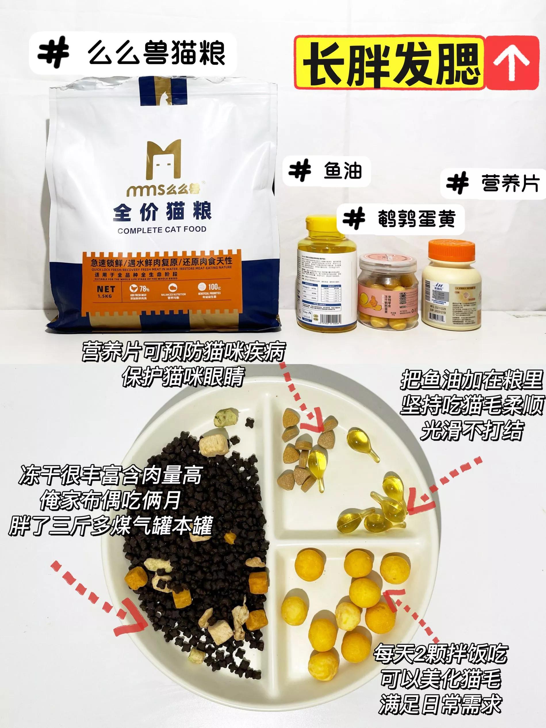 大脸猫最好吃的做法,如何养出大肥猫