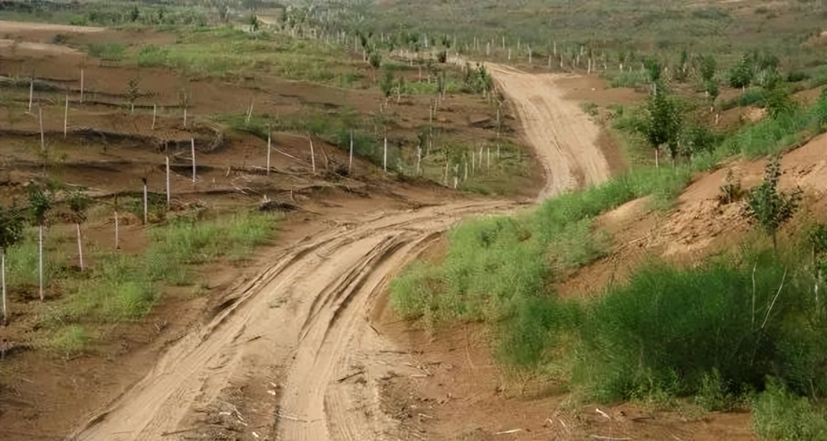 以租代征打赢官司案例,以租代征征收集体土地案例