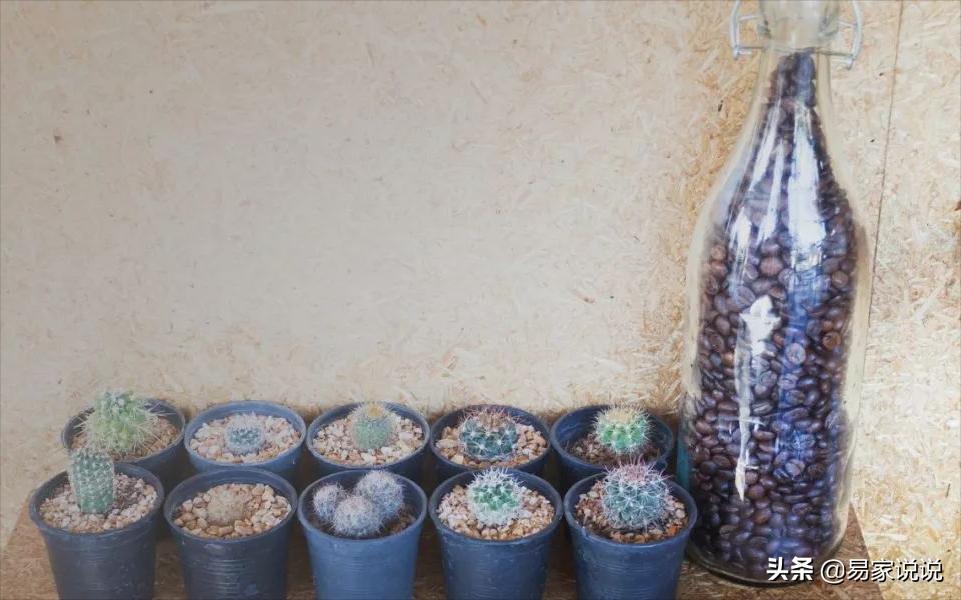 人拥有极强的自愈能力,成年人的自愈能力超强