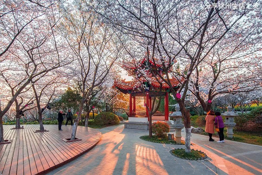 徐州国际工程机械交易会参展企业,徐州旅游会展项目有哪些