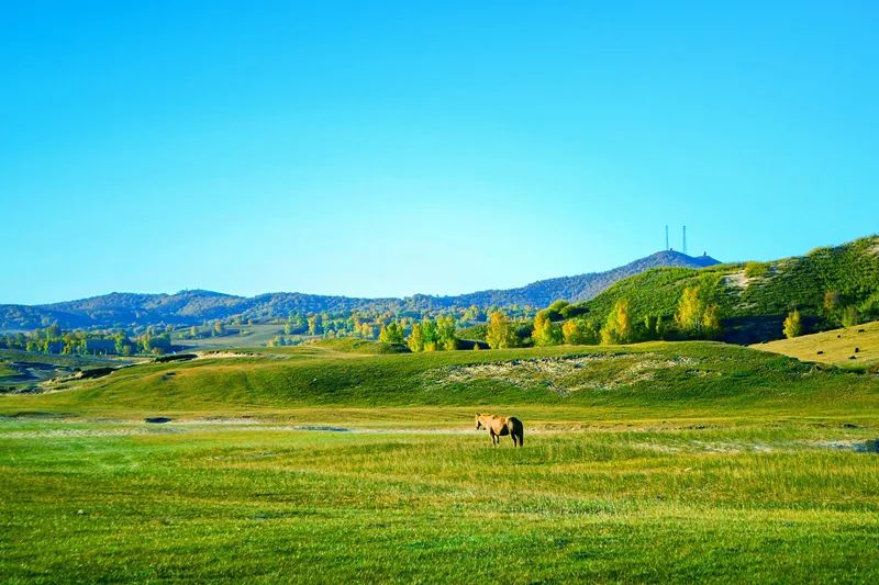 离北京最近的草原避暑胜地,华北夏季避暑好去处