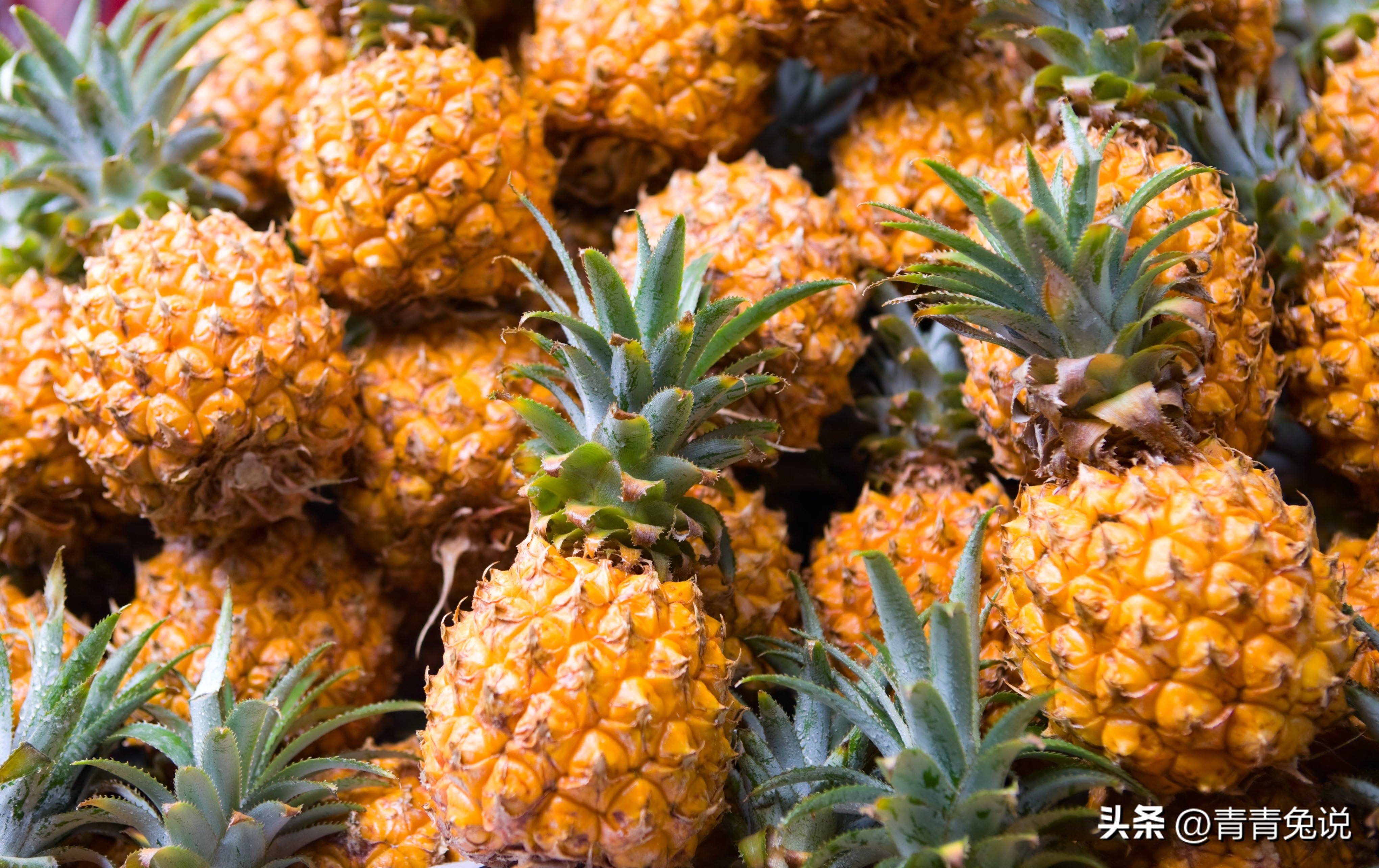 春季多吃这5种菜帮助孩子长得高,孩子常吃这几种水果营养健康成长