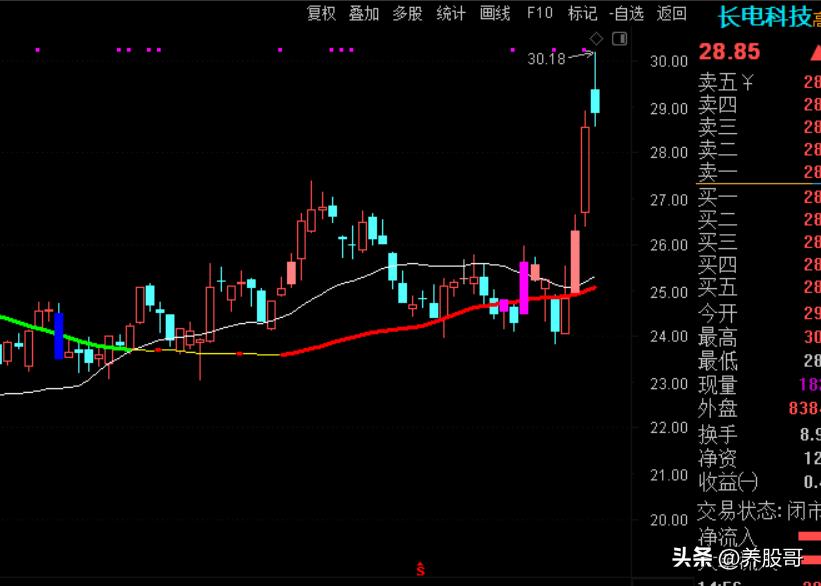 新手不要盲目炒股,新手炒股不亏怎么办