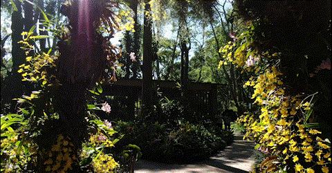 景洪夜景最好的地方,景洪边境是在什么地方