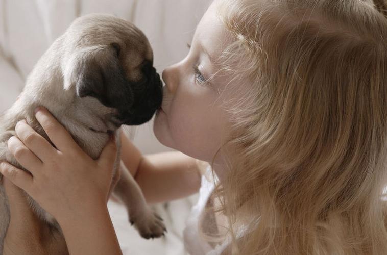 在狗狗眼里亲吻是什么意思,在狗狗心里主人是什么