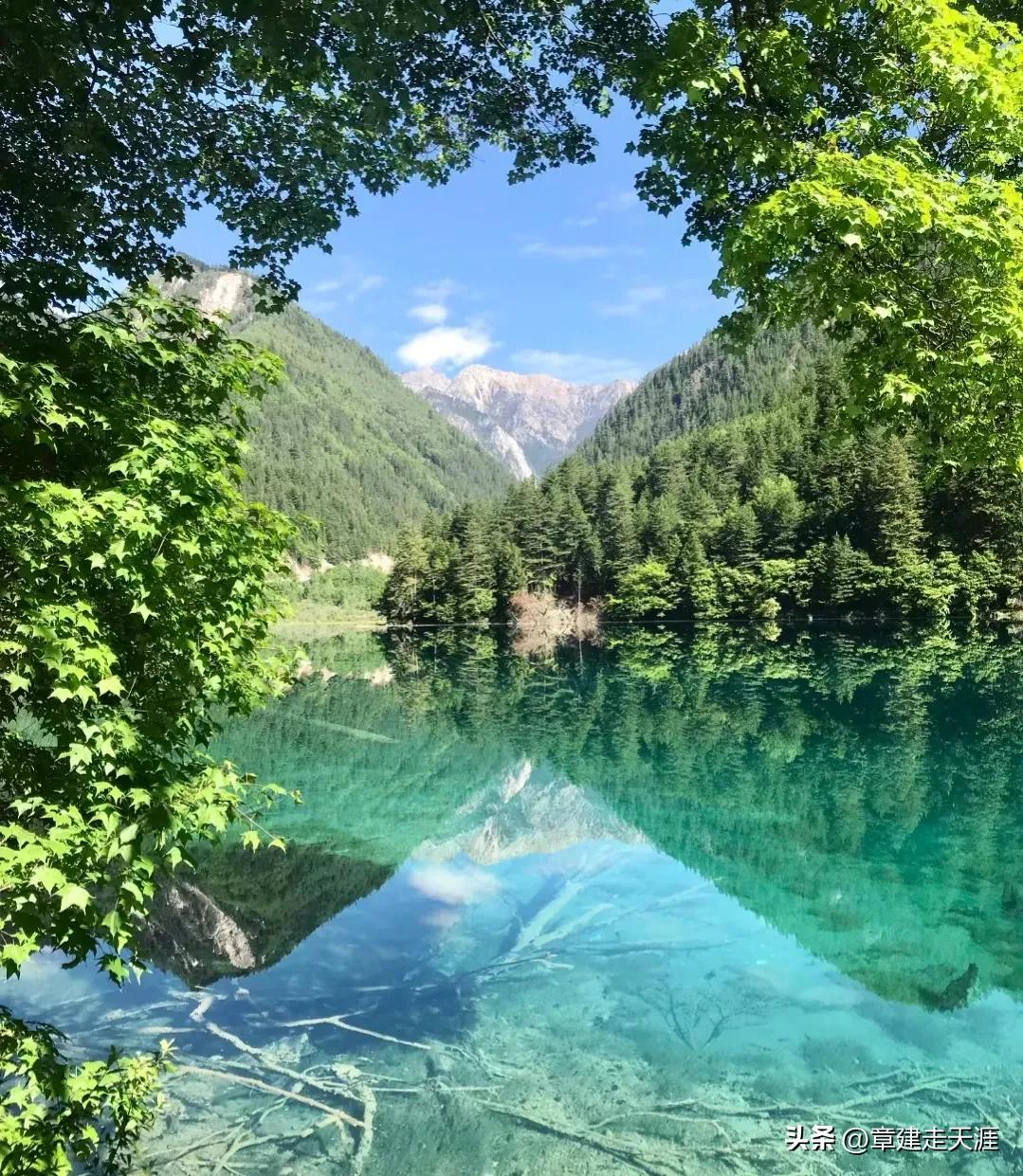 去九寨沟的细节建议,九寨沟坐观光车建议