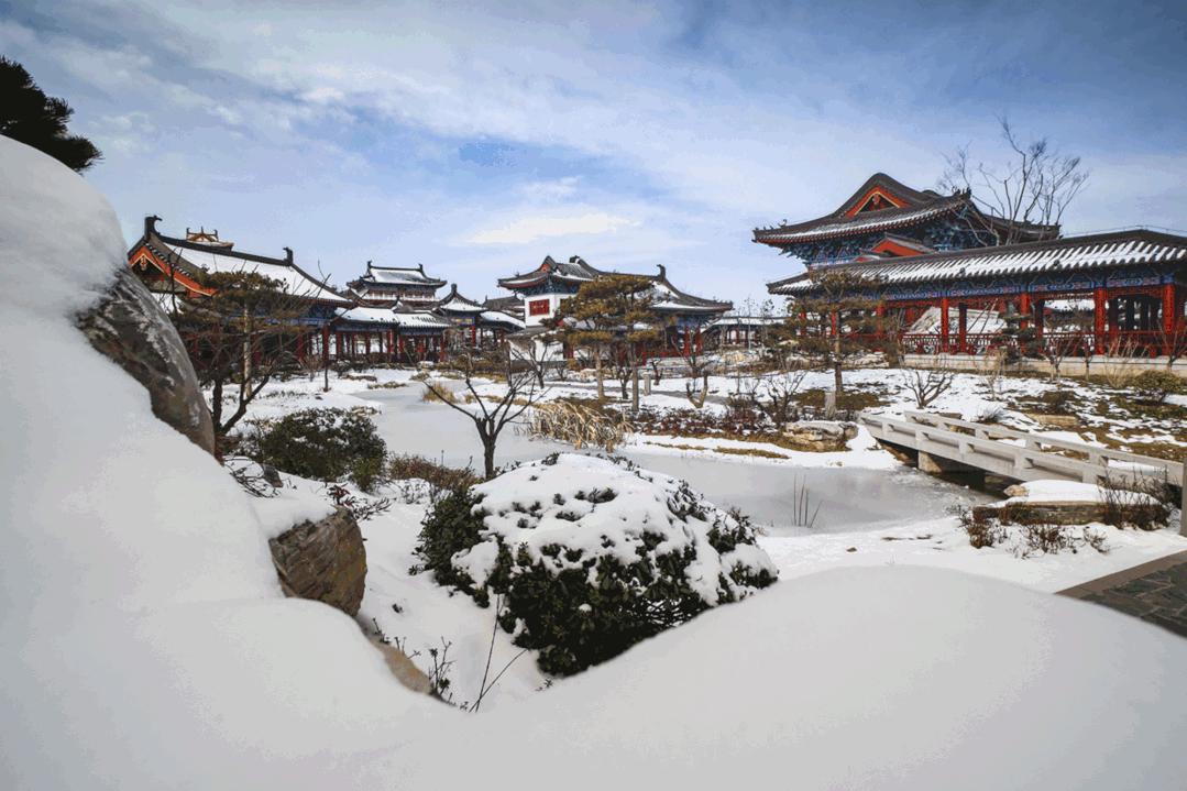 元宵节晚上郑州游玩攻略,郑州元宵节赏灯攻略