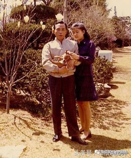 没有情人的情人节下集,没有情人的情人节剧情