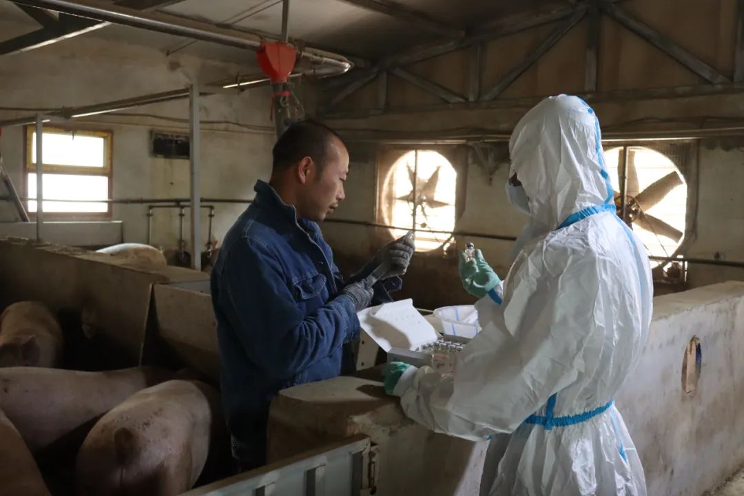 凝神聚力谋发展务实笃行开新局,凝神聚力真抓实干推动高质量发展