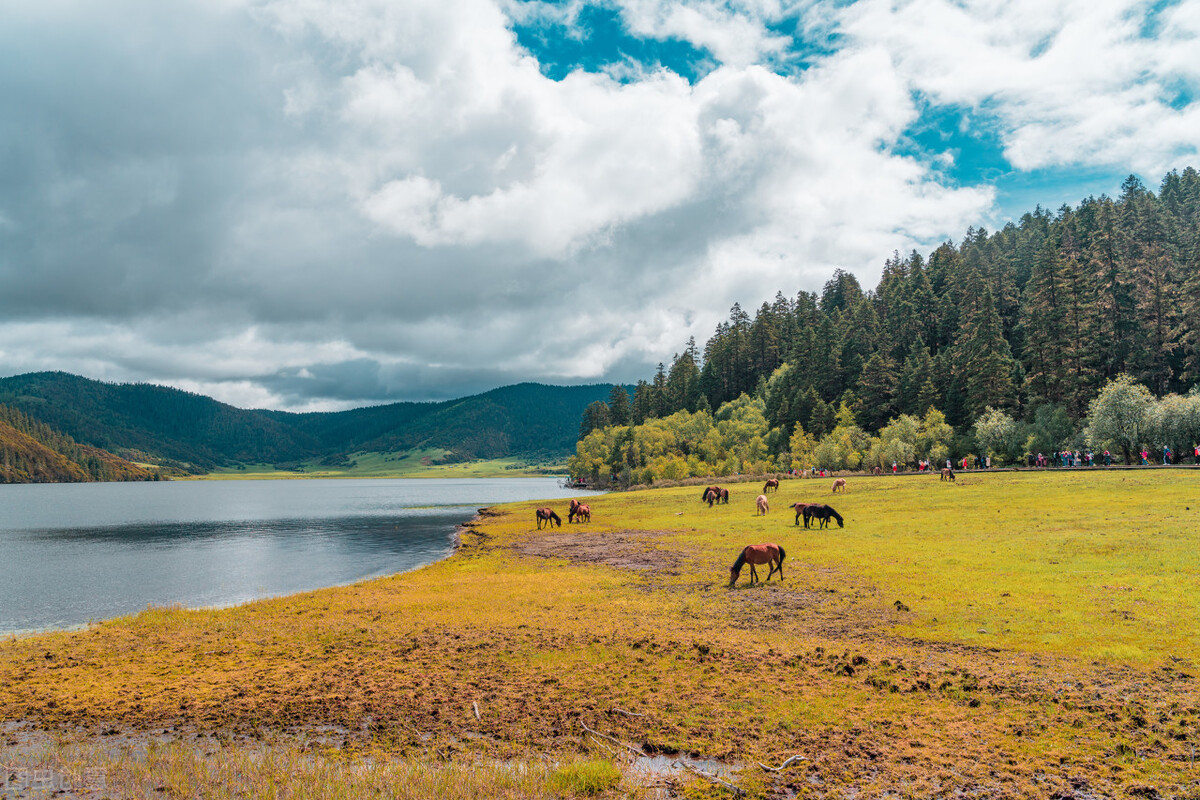 香格里拉童话,一生必去的地方香格里拉