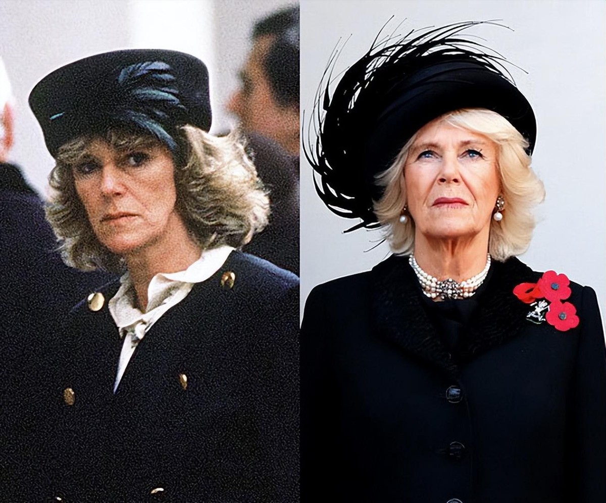 查尔斯保姆玛贝尔,查尔斯保姆和卡米拉