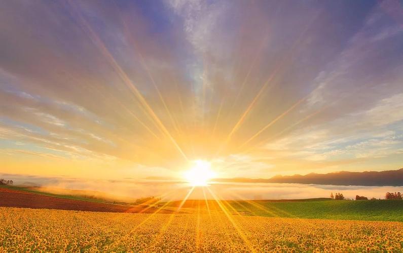 姆巴佩阿方索戴维斯哈兰德萨卡,姆巴佩法国队集结