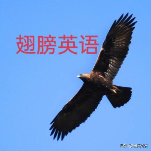 哪些从句的谓语动词要用虚拟语气,宾语从句必须要用虚拟语气的动词