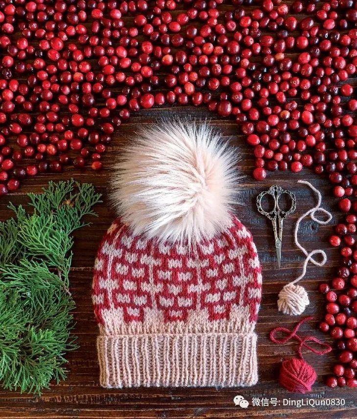 针织帽子花样大全视频,针织帽子创意