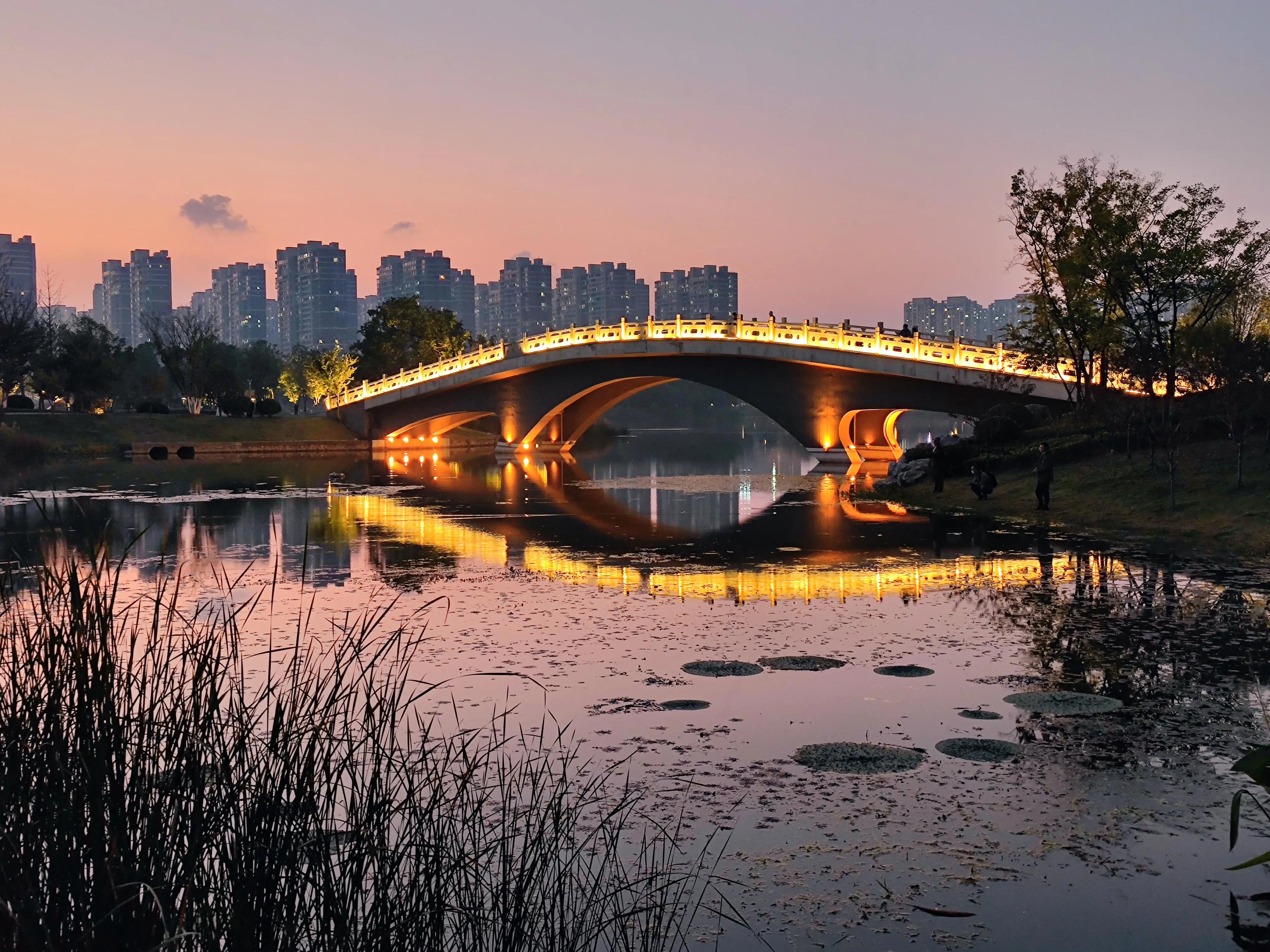 晚游扬州,夜游仙林湖