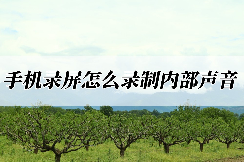 手机录屏如何录制16:9的横屏,怎么用手机的录屏软件录内部声音