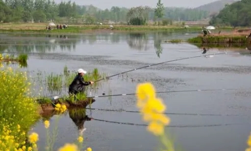 钓鱼小知识秋季爆护口诀,一个月当中哪几天才好钓鱼爆护
