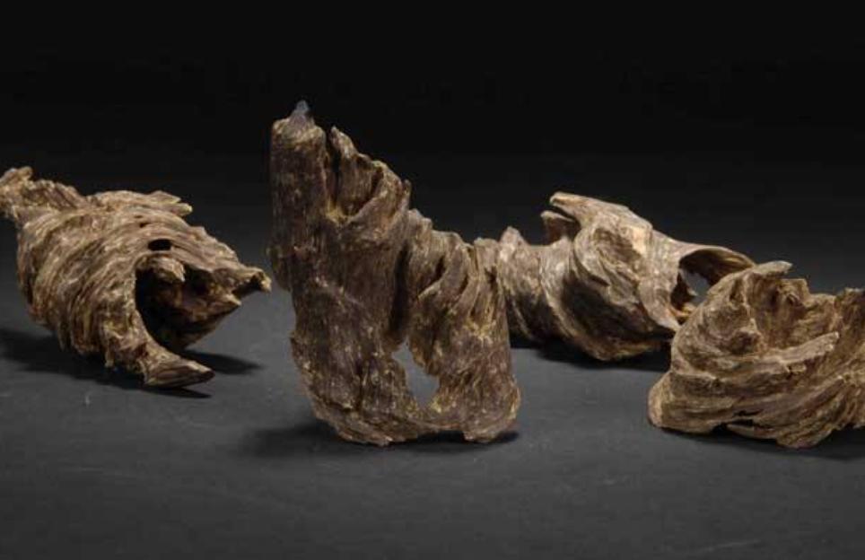 隋炀帝的国宝,隋炀帝赠日本国宝