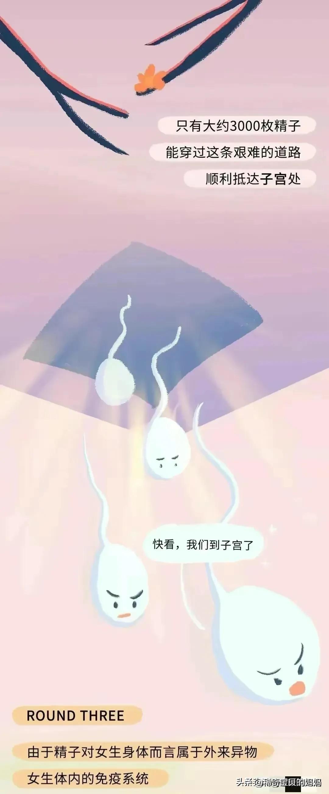 科普知识小蝌蚪怎么成长为青蛙,小蝌蚪动画的成长过程