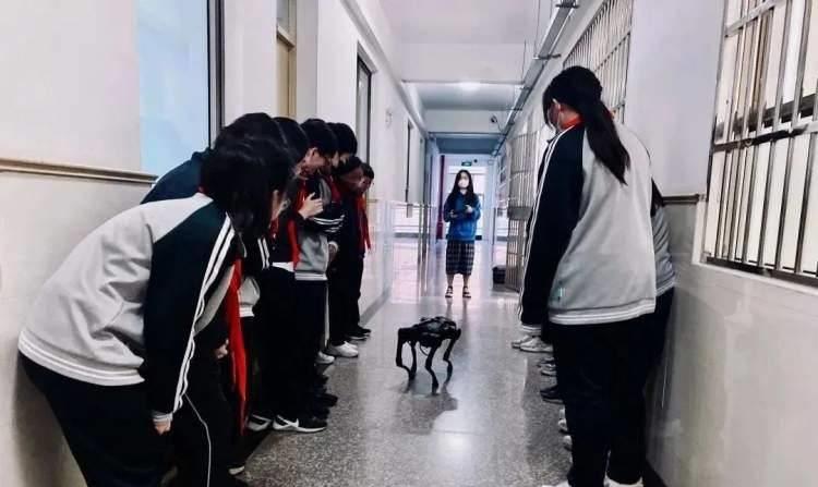 上海普陀区有什么特色,上海普陀区什么最好