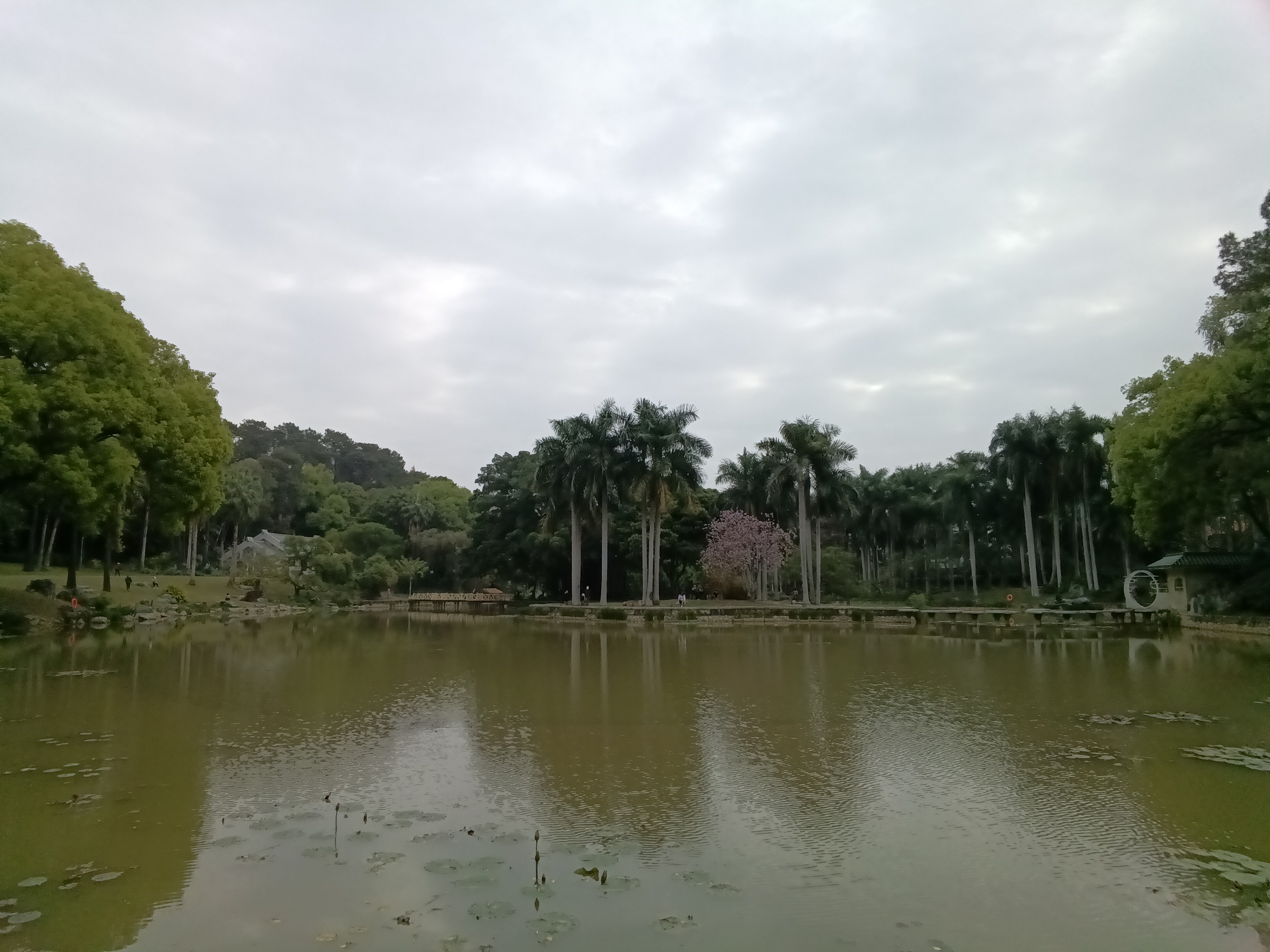 最新多亲qin3ultra测评,多亲qin3pro全面屏游戏测评