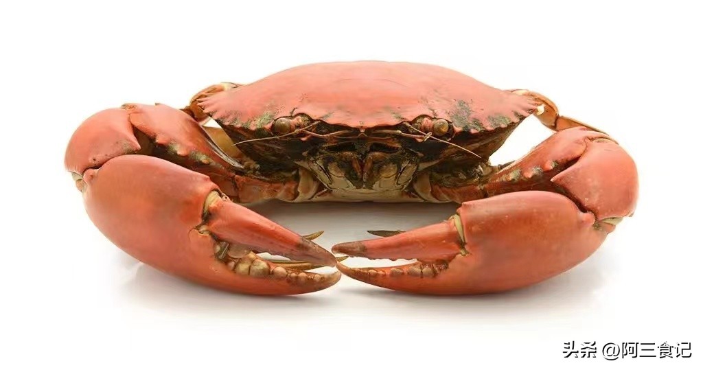 涔拌瀮锜瑰皬鐭ヨ瘑,涔拌瀮锜圭殑涓夊ぇ绉樿瘈