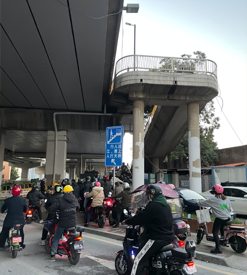 百日整治、举报有奖，能解决广州“*鸡电**围城”乱象吗？