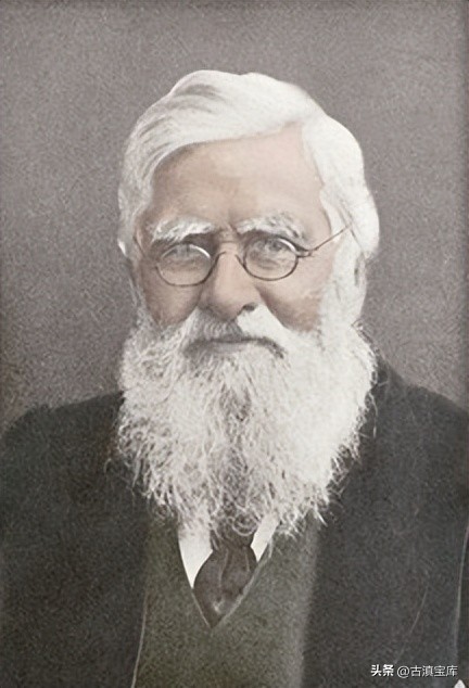 达尔文的进化论是物种起源吗,生物进化论与物种起源的关系