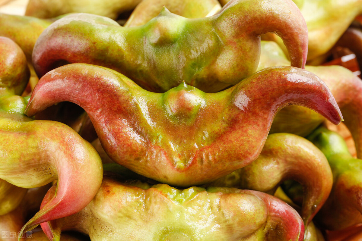 小菱角和大菱角的区别,关于菱角的阅读