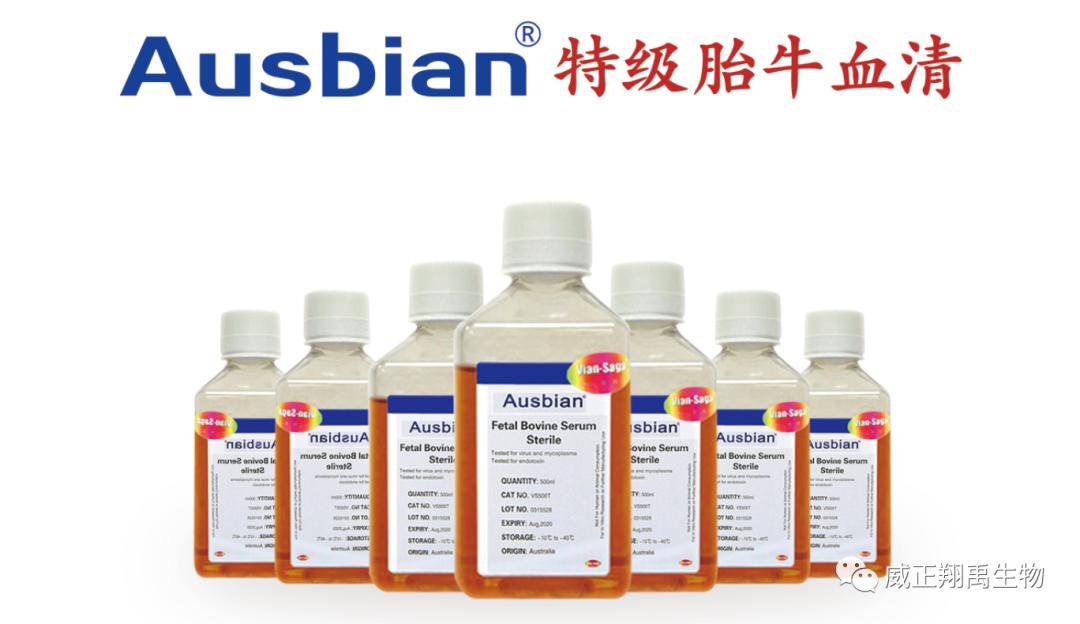 血清检测什么标准为正常,血清检测合格的标准