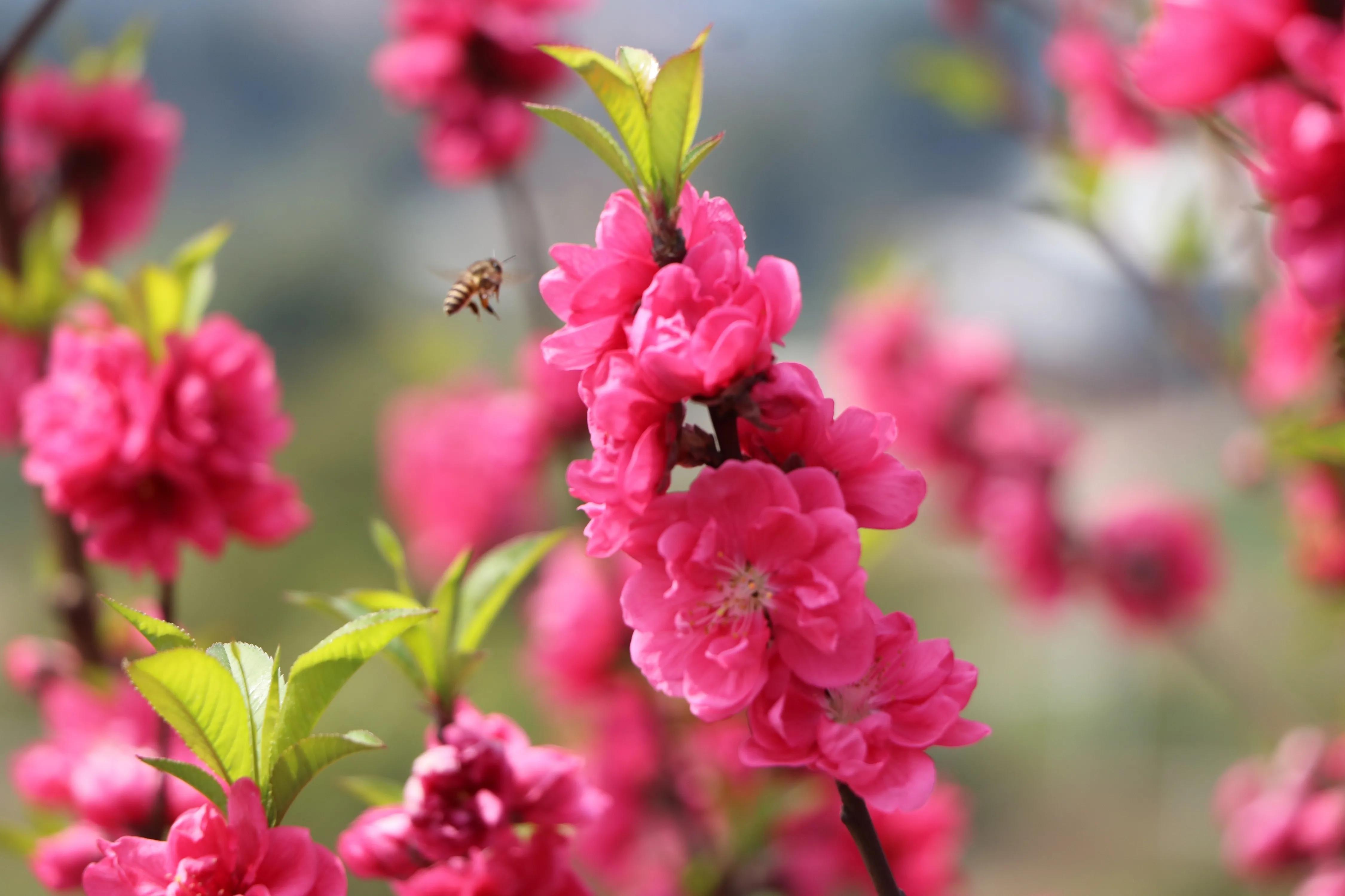 生活社会实践,生活实践