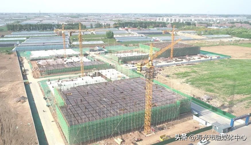 项目寿光市,投资8亿寿光大项目