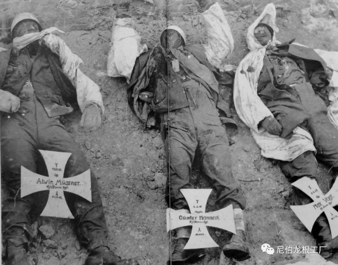 好收吾骨瘴江边全诗,好收吾骨瘴江边翻译